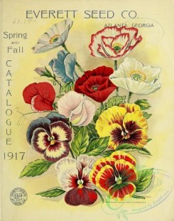 poppies_flowers-00218 - 113-Pansies, Poppy, Sweet Peas