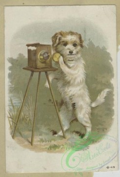 prang_cards_animals-00227 - 1592-Trade cards depicting dogs, cats, fires, and cameras 102524