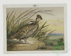 prang_cards_birds-00006 - 0077-Christmas cards depicting animals and birds 107664