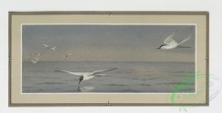 prang_cards_birds-00056 - 0224-Christmas and New Year cards depicting birds and ocean scenes 104141