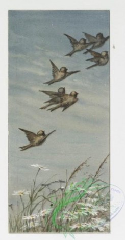 prang_cards_birds-00068 - 0248-Christmas and New Year cards depicting birds in flight, snowy landscapes, and children 104306
