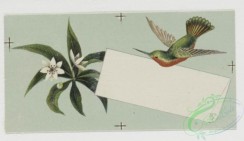 prang_cards_birds-00080 - 0282-Valentine, Christmas, and New Year cards with colorful birds and flowers 104576