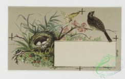 prang_cards_birds-00100 - 0316-Trade card for Florida Water perfume company, with depictions of flower, birds, and women brushing hair 104957