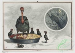 prang_cards_birds-00112 - 0356-Thanksgiving cards with turkeys celebrating Thanksgiving, eating a baby in a pie, cards depicting flowers 105238