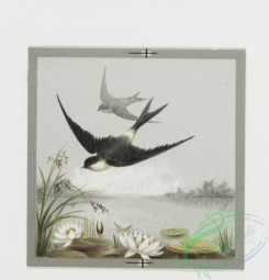 prang_cards_birds-00117 - 0388-Easter, Valentine, and birthday cards depicting birds and flowers 105463