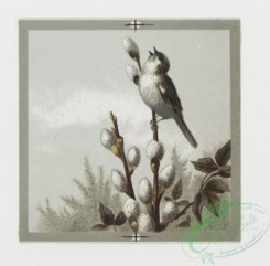 prang_cards_birds-00119 - 0388-Easter, Valentine, and birthday cards depicting birds and flowers 105465