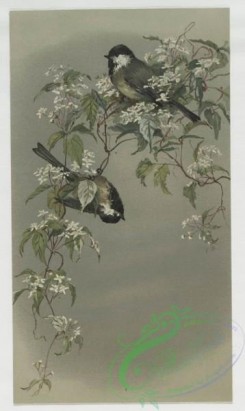 prang_cards_birds-00129 - 0419-Easter cards depicting birds and butterflies on tree branches 105681