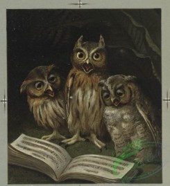 prang_cards_birds-00149 - 0477-Christmas cards depicting cats reading, bears dancing, owls singing, tortoise, and hare 106103