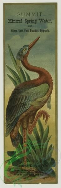 prang_cards_birds-00205 - 1400-Trade cards depicting tropical birds with long legs 101625