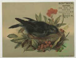 prang_cards_birds-00242 - 1785-Trade cards depicting birds, a nest and berries 103676