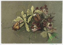 prang_cards_botanicals-00156 - 0820-Hydrangea, Orchids 3, Red Geranium, Orchids 4 107833