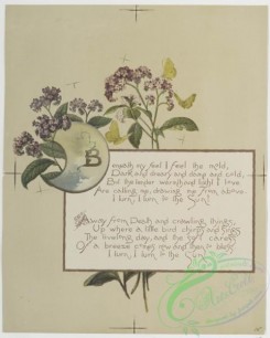 prang_cards_botanicals-00173 - 0861-Flower fancies-calendar with text, depicting flowers including forget-me-nots 108064