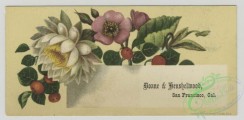 prang_cards_botanicals-00345 - 1502-Trade cards depicting flowers and a river landscape 102109