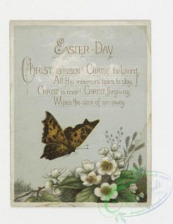 prang_cards_butterflies-00001 - 0131-Easter cards with decorative ornamentation, depicting flowers, butterflies and eggs 101218
