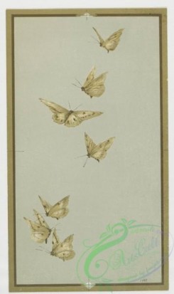 prang_cards_butterflies-00021 - 0419-Easter cards depicting birds and butterflies on tree branches 105685