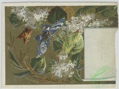 prang_cards_butterflies-00049 - 1582-Trade cards depicting flowers, butterflies and men with 'layettes' advertisements 102486