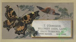 prang_cards_butterflies-00051 - 1604-Trade cards depicting flowers, butterflies, a chocolate stand, a lake and boating 102573