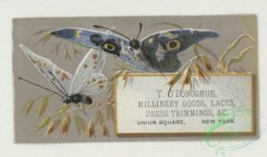 prang_cards_butterflies-00059 - 1763-Trade cards depicting butterflies, holly, flowers, plants, strawberries, cows and birch bark 103540