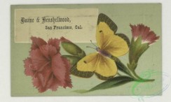 prang_cards_butterflies-00061 - 1770-Trade cards depicting flowers, butterflies and a portrait of a woman holding a flower 103582