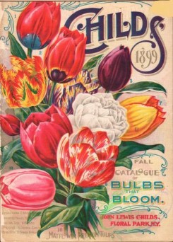 seeds_catalogs-07921 - 001-Tulips