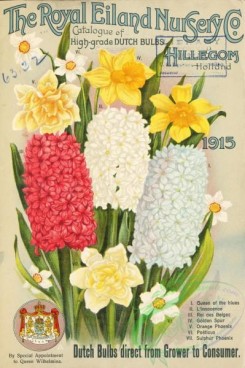 seeds_catalogs-08002 - 001-Bouquet, Hyacinthus, Narcissus
