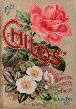 seeds_catalogs-08083 - 012-Roses, Childs