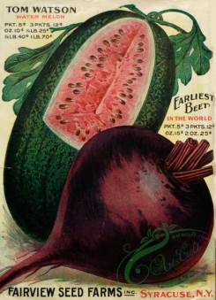 seeds_catalogs-08115 - 004-Watermelon, Beet