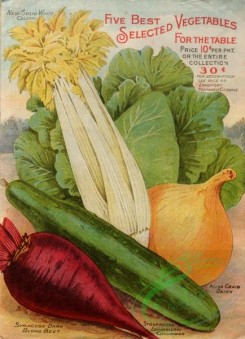 seeds_catalogs-08125 - 002-Vegetables, Celery, Cucumber, Beet