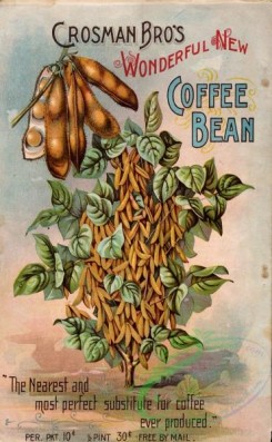 seeds_catalogs-08147 - 003-Bean Plant