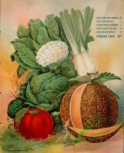 seeds_catalogs-08164 - 002-Cauliflower, Lettuce, Tomato, Musk Melon