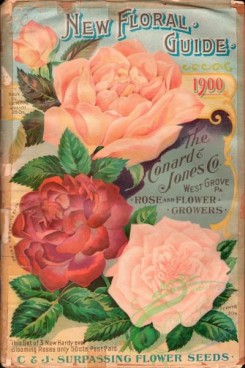 seeds_catalogs-08201 - 001-Roses