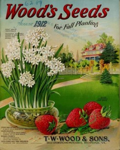 strawberry-00627 - Strawberry, Narcissus in vase, Park, Cottage, stone wall, Fir
