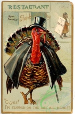 thanksgiving_day_postcards-00434 - 434-Turkey in hat, O yes I'm starred on the bill... [1981x3000]