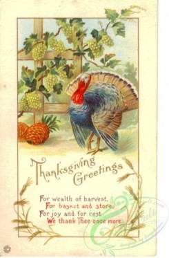 thanksgiving_day_postcards-00453 - 453-Turkey, Grapes, For wealth of harvest, For basket and store [1973x3000]