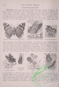 the_living_world-00208 - 227-Admiral Butterfly, Silver Wing, Checkered Butterfly, Metallic Winged, Aurorra, White Flecked, Night Moth