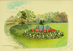 tulips-00041 - Hyacinths, Tulips, Crocus in flowerbed in the park [2814x1952]