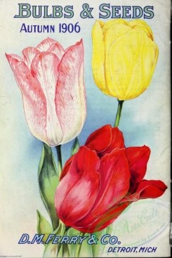 tulips-00178 - 023-Tulips [2864x4281]