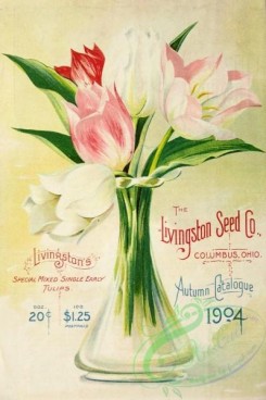 tulips-00218 - 039-Tulips in Vase [3100x4658]