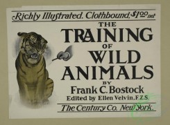 vintage_posters-00580 - 197-The training of wild animals