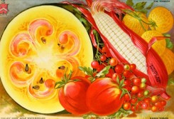 watermelon-00047 - 049-Ruby Sweet Corn, Watermelon, Peach Tomato, Raisin Tomato