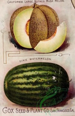 watermelon-00052 - 028-Watermelon, Muskmelon