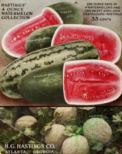 watermelon-00065 - 074-Watermelon