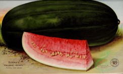 watermelon-00103 - 017-Watermelon