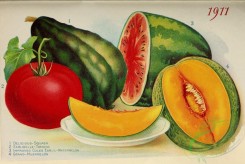 watermelon-00138 - 070-Squash, Tomato, Watermelon, Musk melon, plate