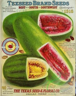 watermelon-00173 - 101-Watermelon